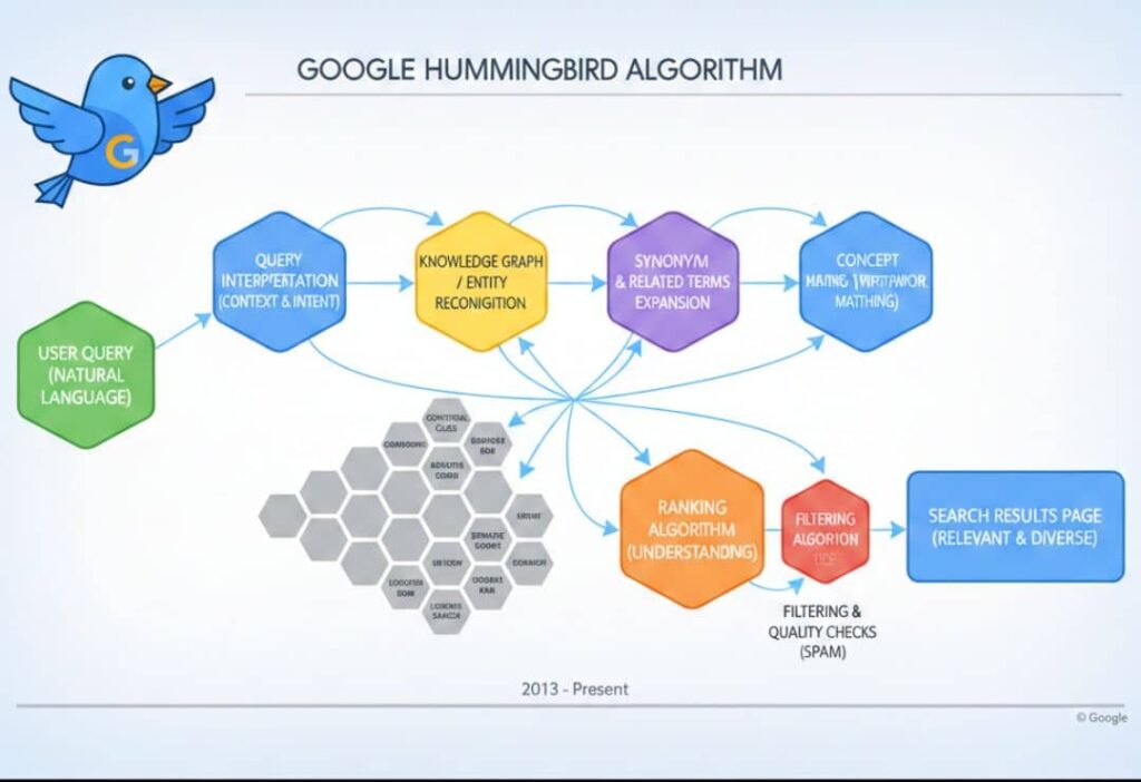 Google Hummingbird Algorithm Diagram